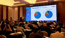 川觀新聞10月27日報(bào)道：“釩間”的兩場國際會議為什么選擇樂山？